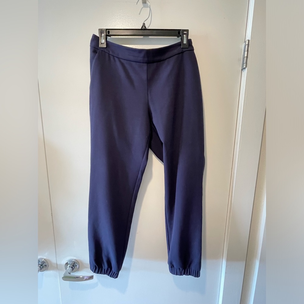 SOLD — Hatch sz1 navy pants